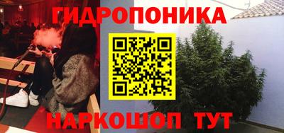 прущие грибы Партизанск