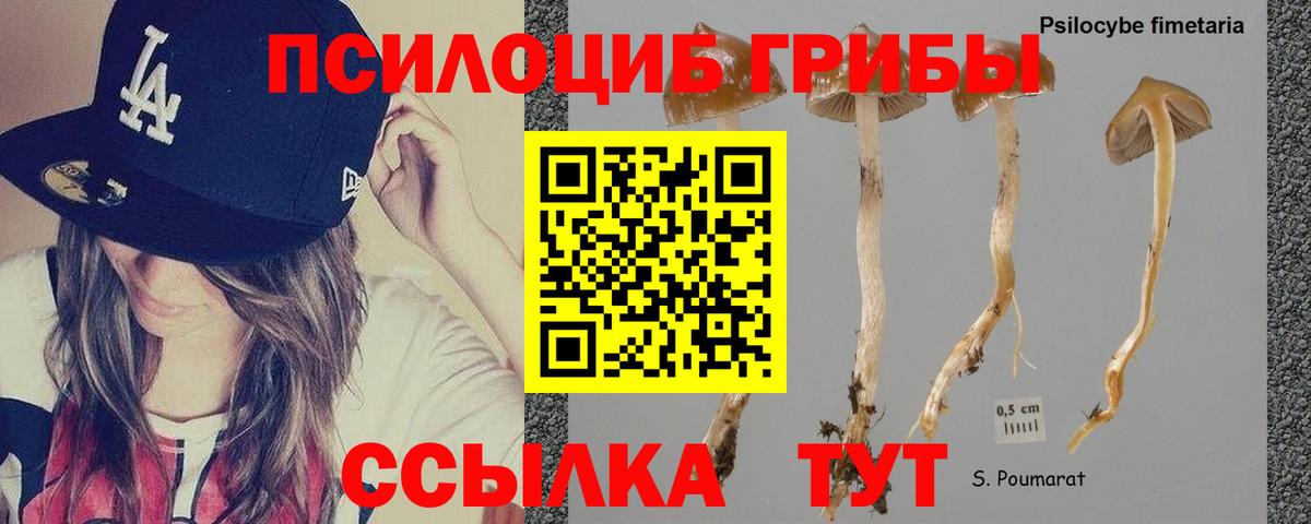 Галлюциногенные грибы GOLDEN TEACHER Симферополь